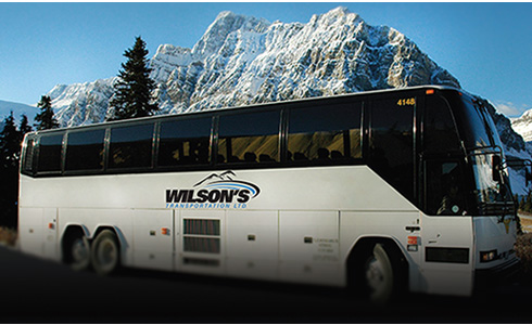 Wilsons bus 56 passenger coach for charter